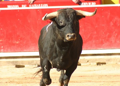 Corride a Madrid