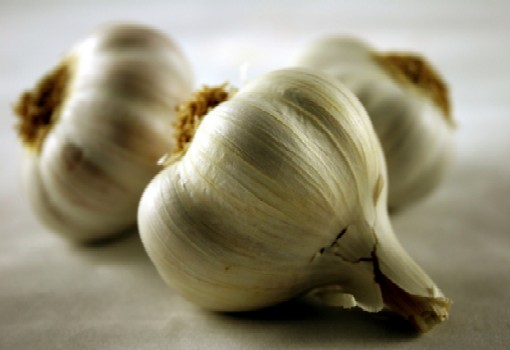 Trattamento da aglio con vodka di parassiti