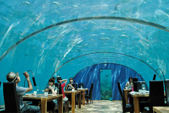 Ithaa Undersea: ristorante alle Maldive 5 metri sotto il livello del mare