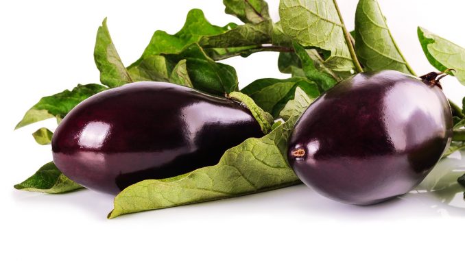 Melanzana Melanzana
