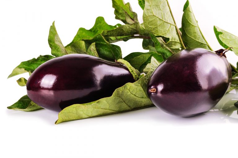 Melanzana Melanzana