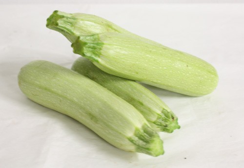 zucchine bianche zucchine bianche