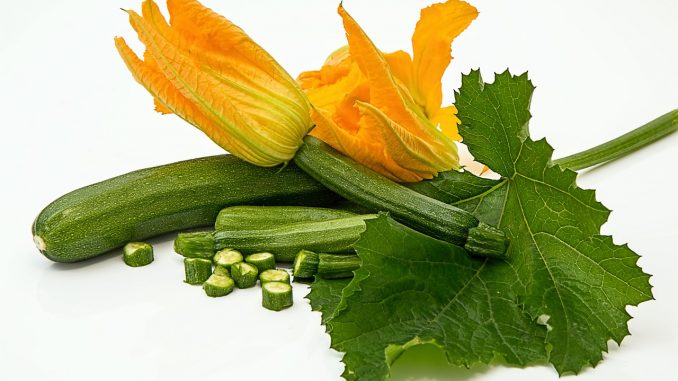 Zucchine Zucchine