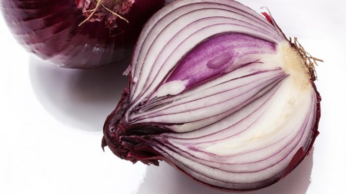 Come eliminare l'odore di cipolla dal frigorifero Come eliminare l'odore di cipolla dal frigorifero