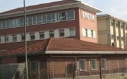 Lo stabilimento Stock di Trieste