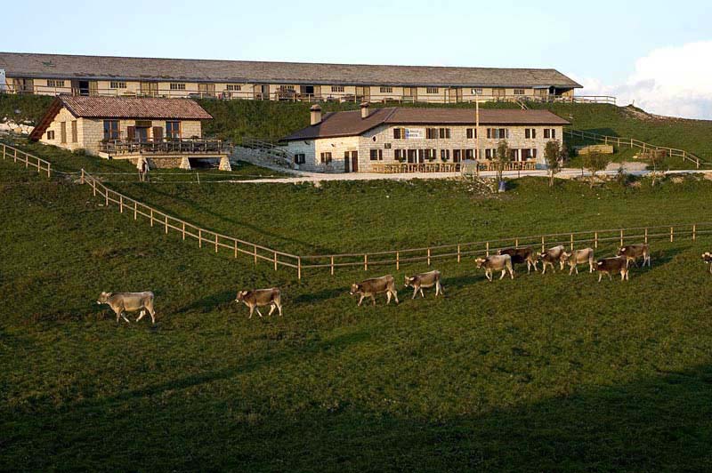 azienda_agricola