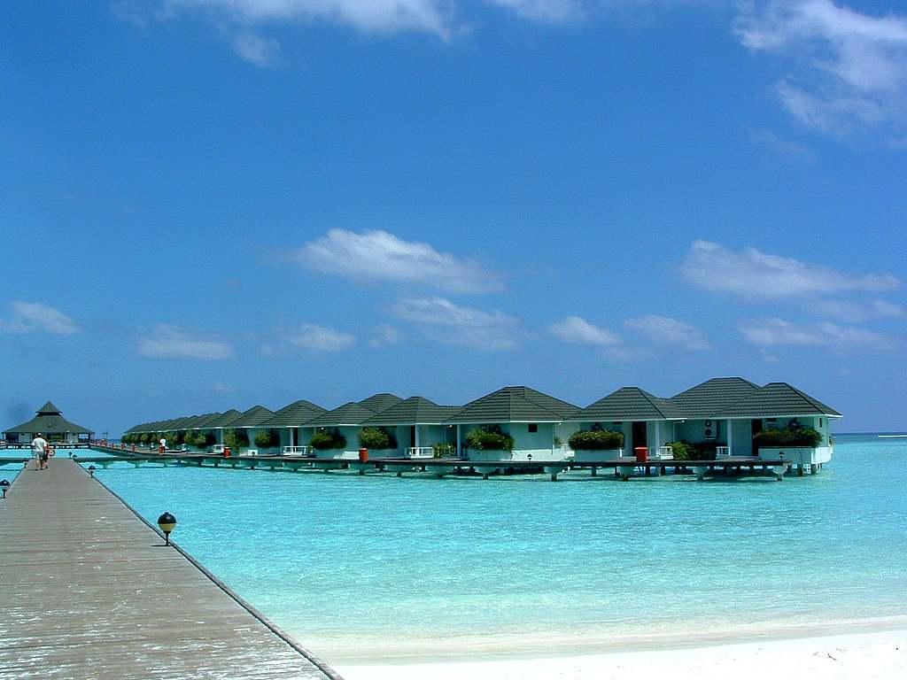 Maldive