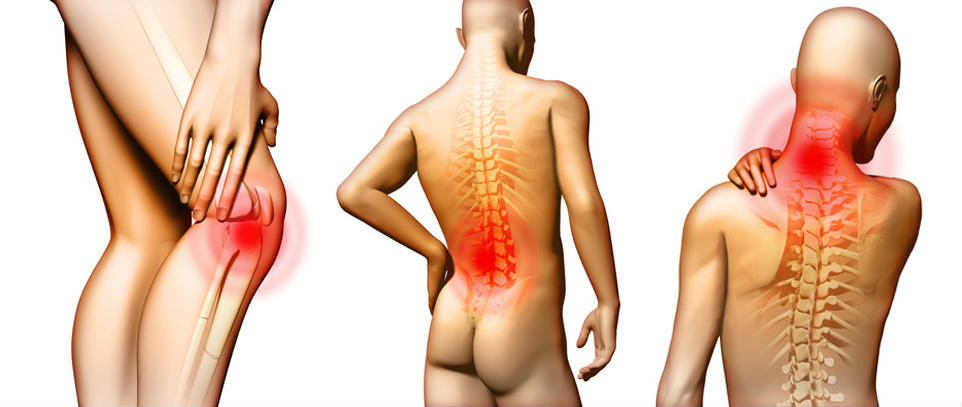 una grafica con corpi umani disegnati e ossa che si vedono in trasparenza indica con il colore rosso dolori al ginocchio, alla schiena e alla cervicale