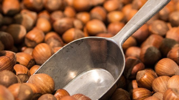 nocciole nocciole