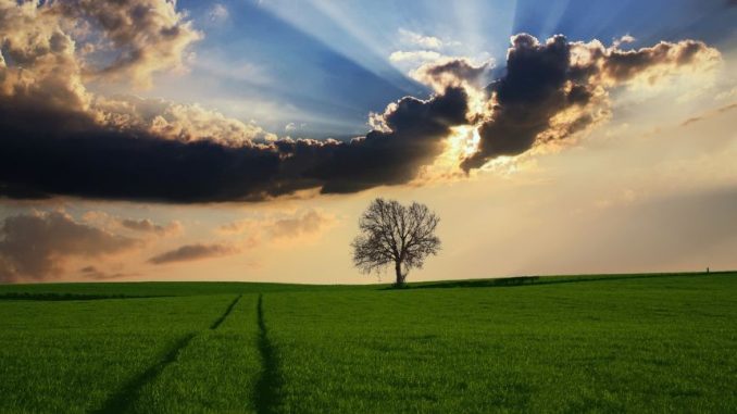 Idee regalo per amanti della natura Natura