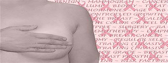 premenopausa premenopausa