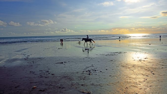 Bali Bali