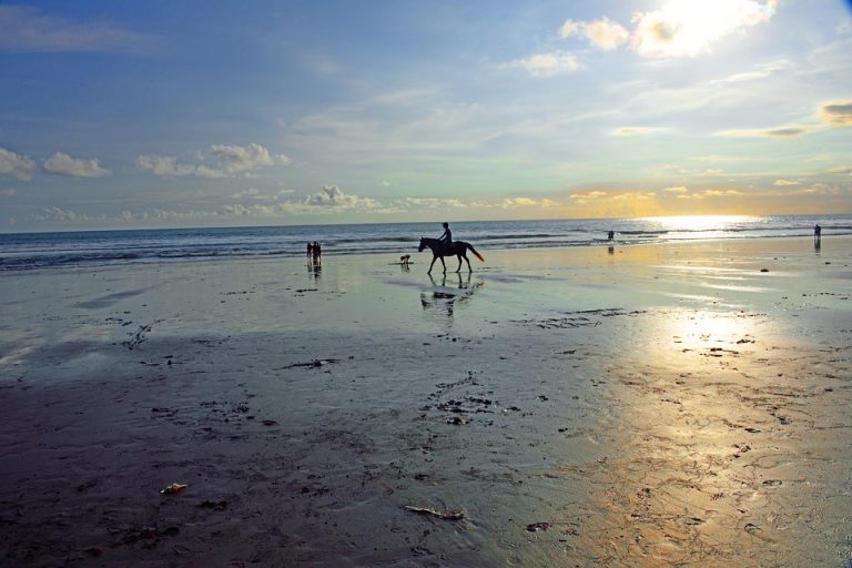 Bali Bali