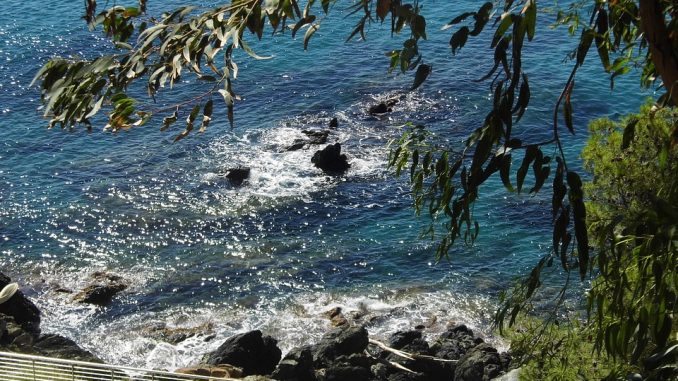 mare mare