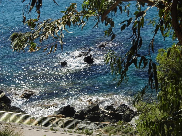mare mare