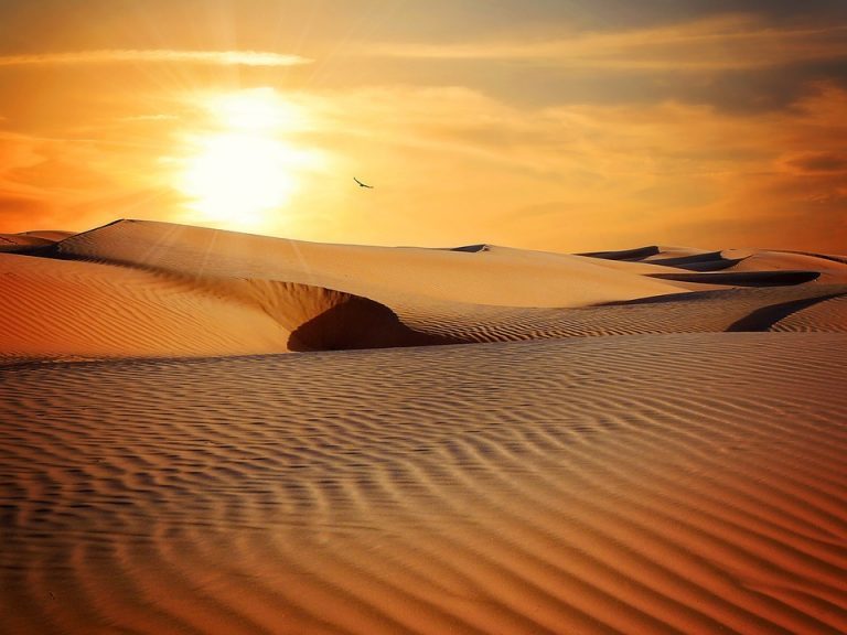 Viaggio nel deserto deserto