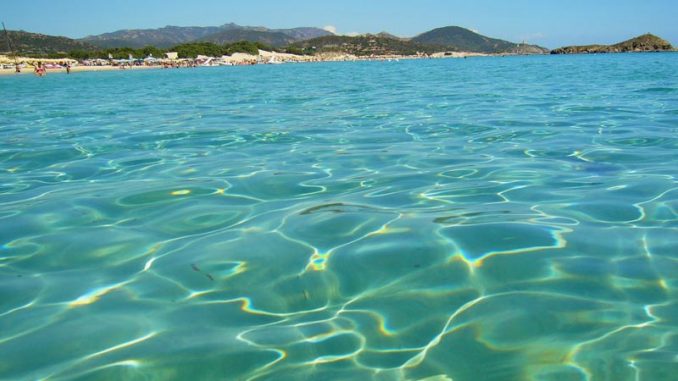 Spiagge Spiagge