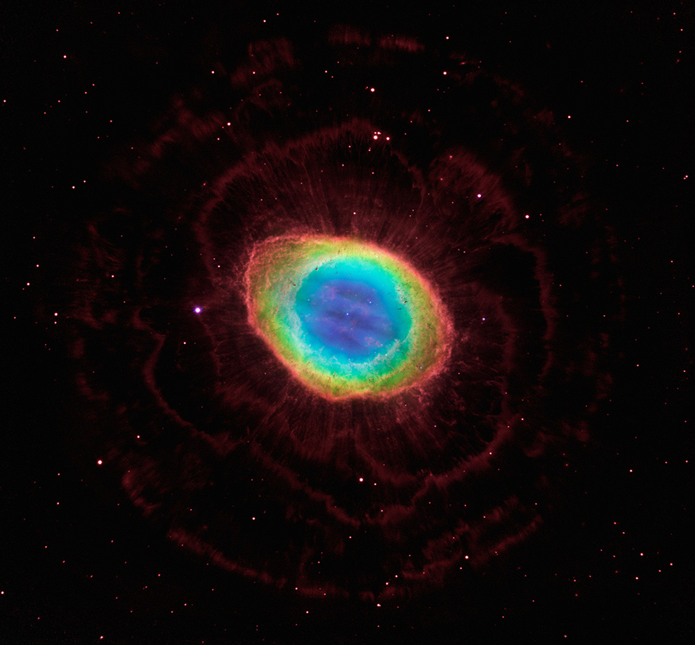 enhanced-buzz-wide-3946-1385413681-8