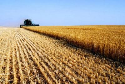 terreni_agricoli_474