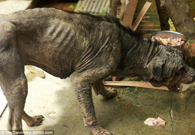 chat per incontrare persone serie