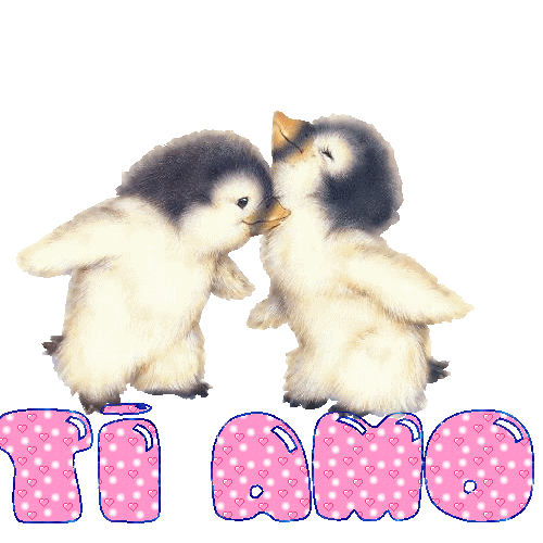 pinguini_ti_amo