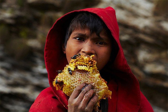 640x427xHoney-Hunters-of-Nepal3-640x427.jpg.pagespeed.ic.3gG505K5wy