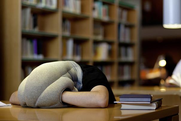 26-Ostrich-Pillow