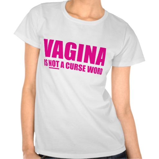 vagina_is_not_a_curse_word_ladies_t_shirt-r51425646fc924ae88193a5a80c585902_8nhmi_512