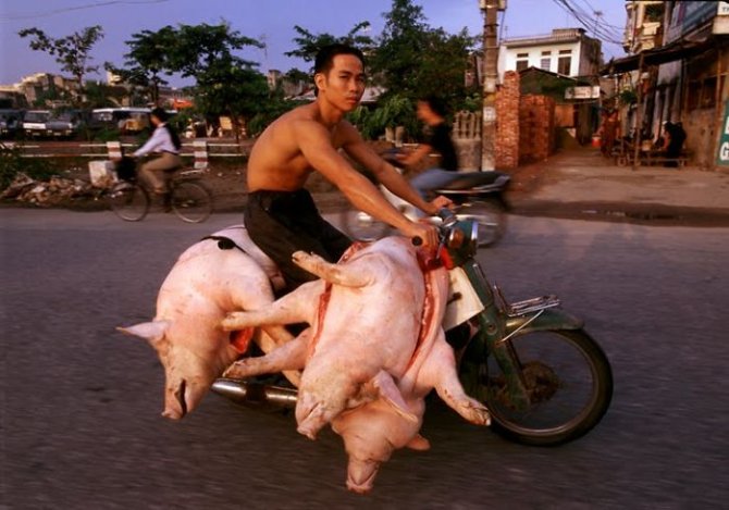 670x469xHans-Kemp-Bikes-of-Burden17__700.jpg.pagespeed.ic.ma5tJE67cB