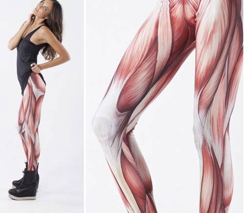 500x437xwtf-leggings-muscle.jpg.pagespeed.ic.Oxqx1H57Ra