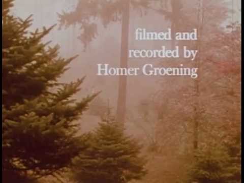 the-story-a-1969-short-film-by-h