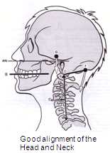 Good-alignment-of-neck