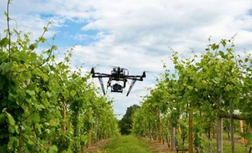 Il drone affianca i mezzi agricoli per nebulizzare le risaie