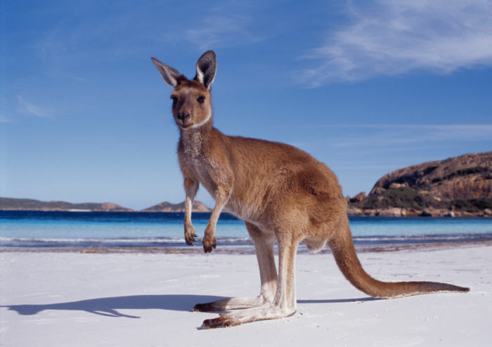 Le migliori cose da fare a Perth 2015 Le migliori cose da fare a Perth 2015 australia