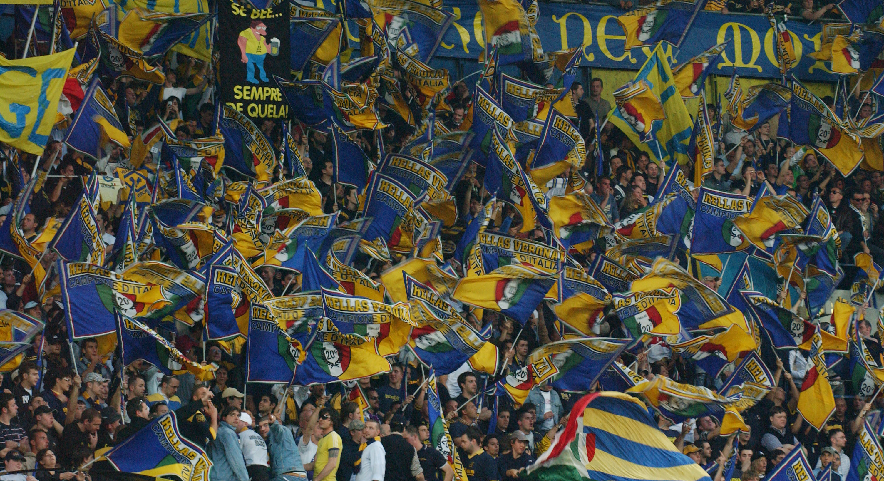 Probabili formazioni Palermo - Verona 21 giornata Serie A 2015 Probabili formazioni Palermo - Verona 21 giornata Serie A 2015