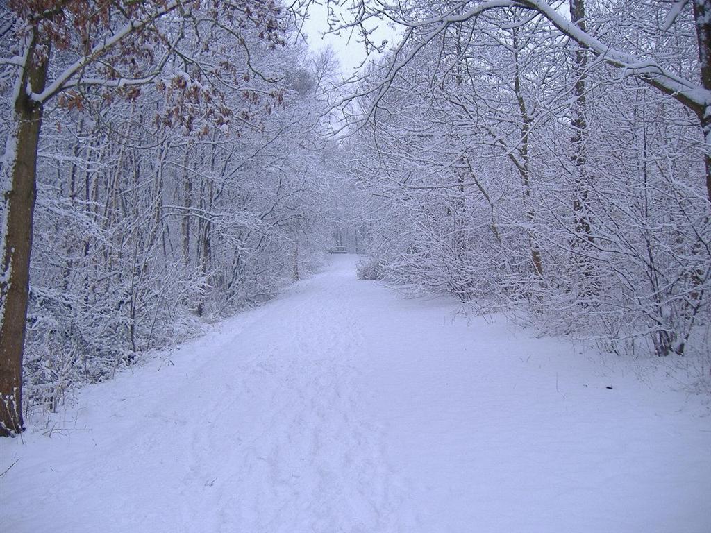 Come fare foto perfette con la neve Come fare foto perfette con la neve