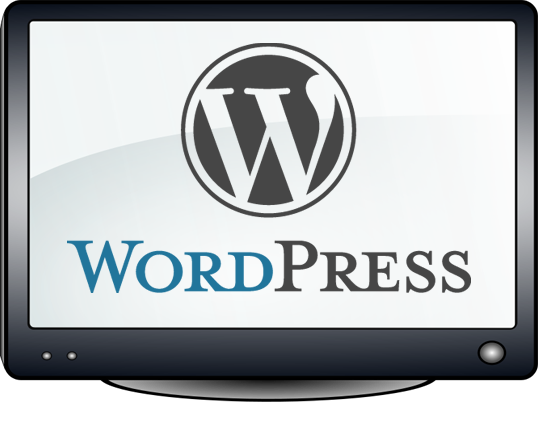 creare-blog-wordpress-max-cecco