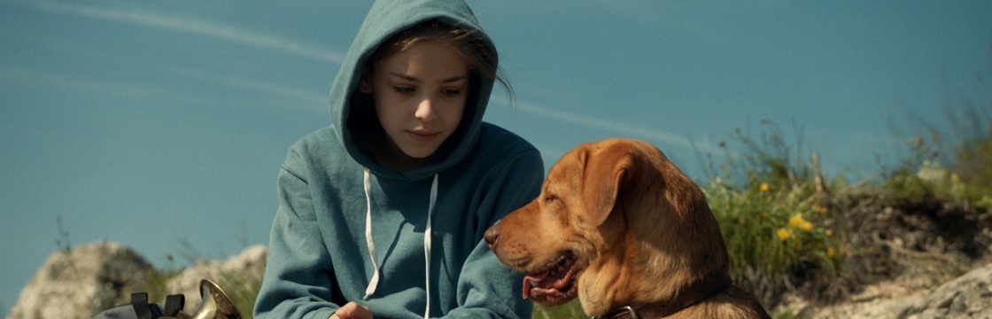 WhiteGod-Still3