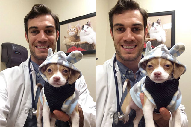 veterinario-evan-antin