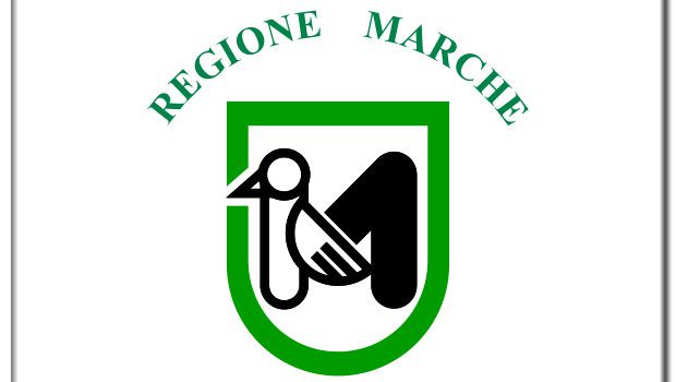 Marche 2015 candidati elezioni regionali Marche 2015 candidati elezioni regionali
