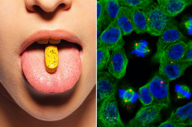 VitaminCancerMain