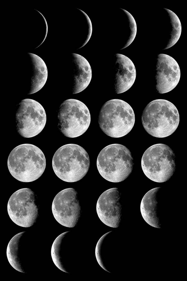 fasi-lunari(4)