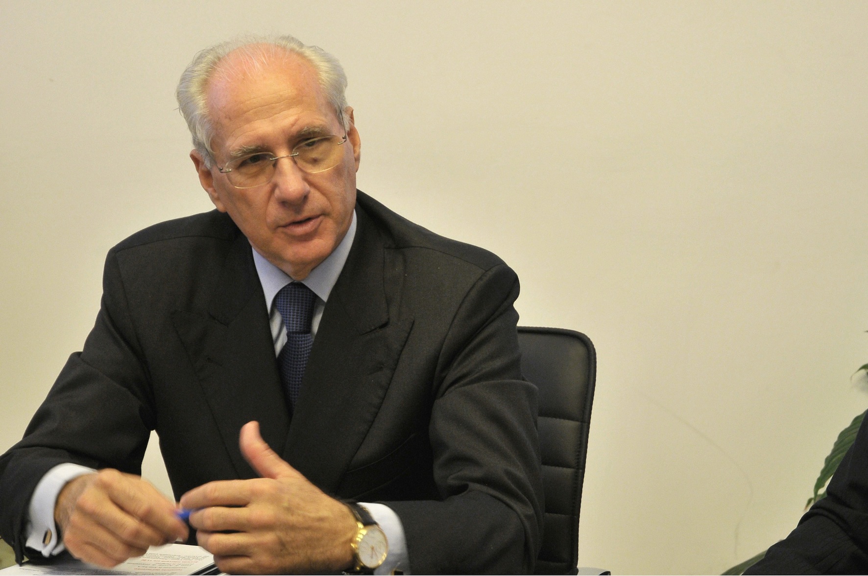 immagine-ciucci-anas-
