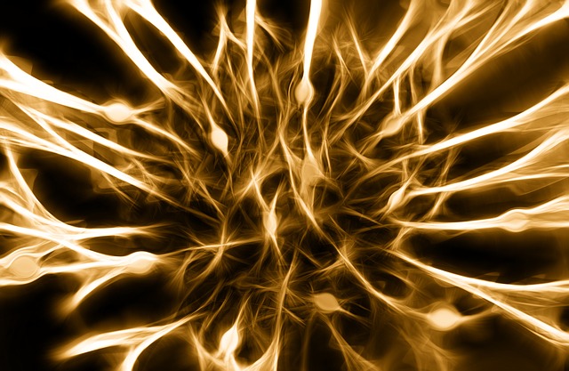 nerves-346928_640