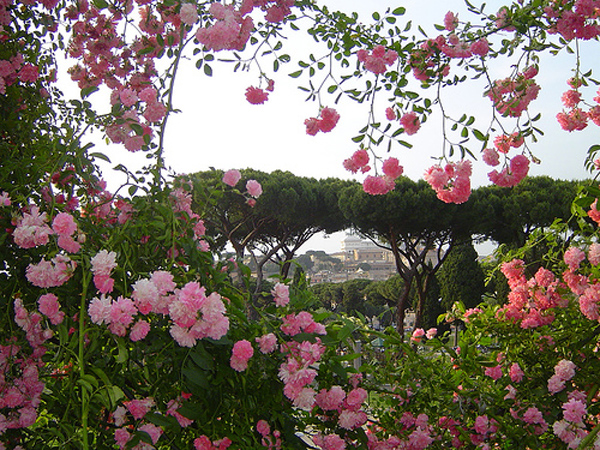 roseto comunale Roma roseto comunale Roma