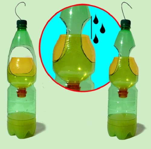 trappola-ecologia-insetti-vespe-calabroni-api-zanzare