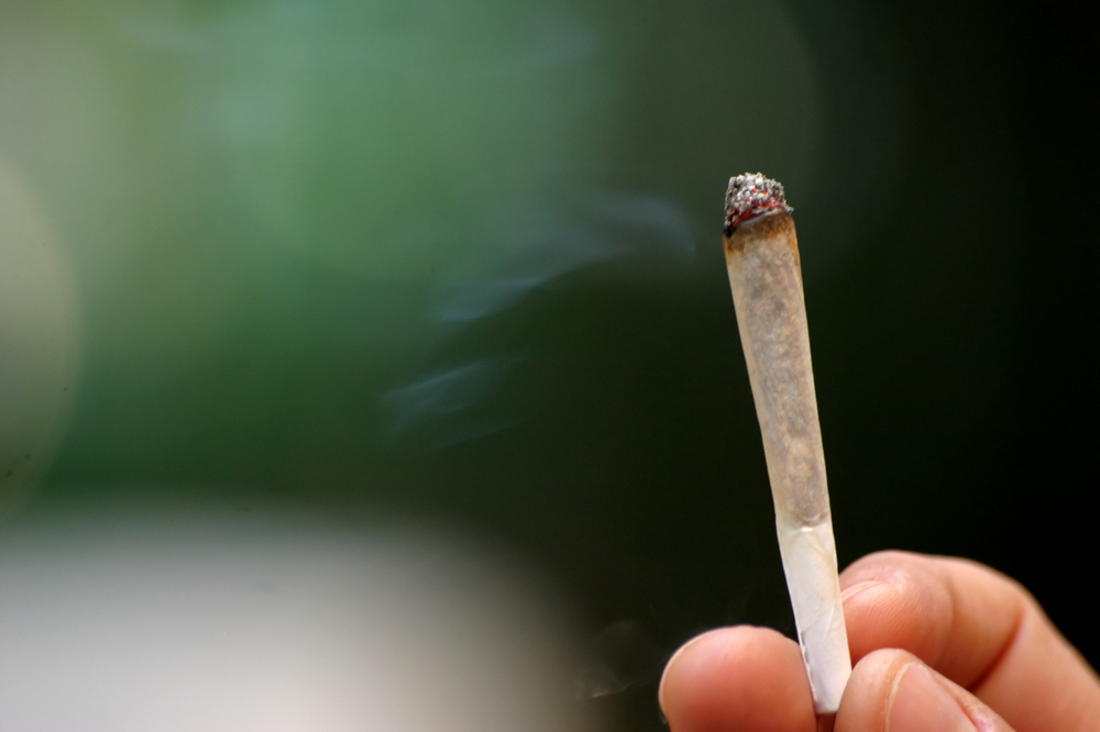 Cannabis