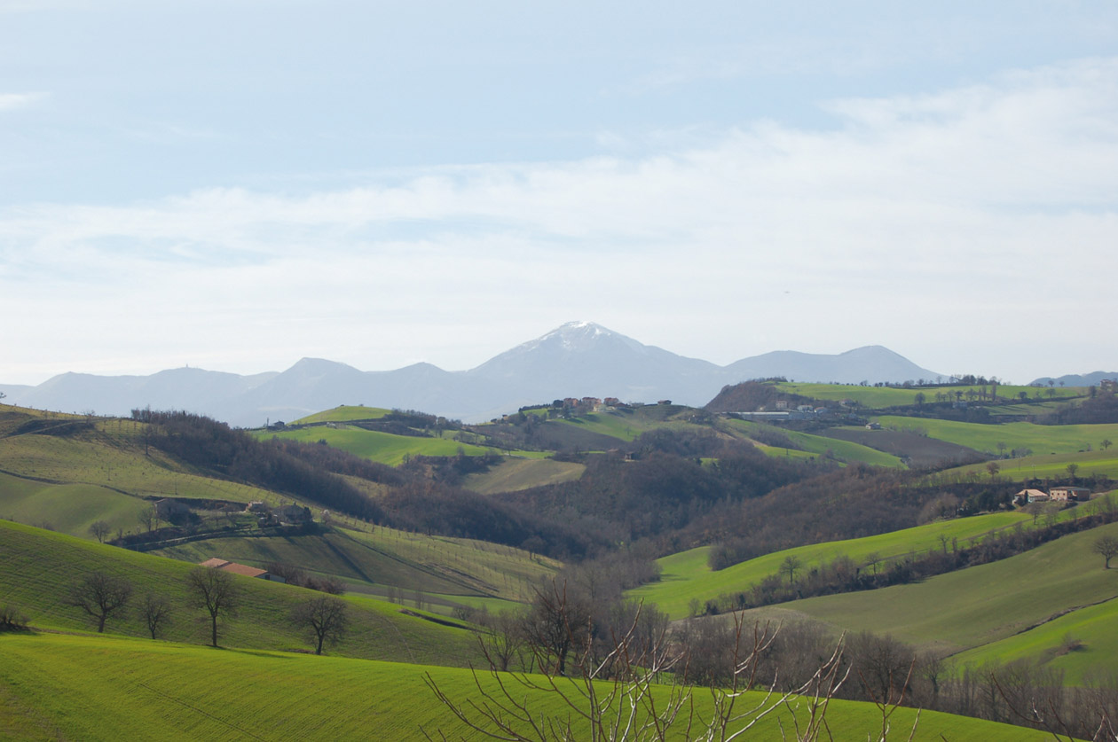 Colli Esini Frasassi_paesaggio