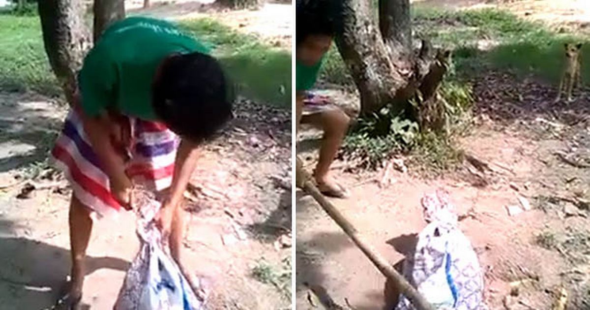 TEASER-A-man-in-Thailand-was-arrested-on-Sunday-after-filming-his-friend-killing-a-dog