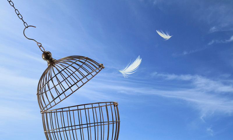 Scienza e libertà